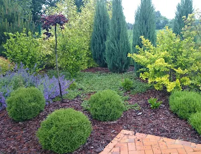 Cornus-Ogrody - Projektowanie i zakładanie ogrodów oraz trawników Zgierz